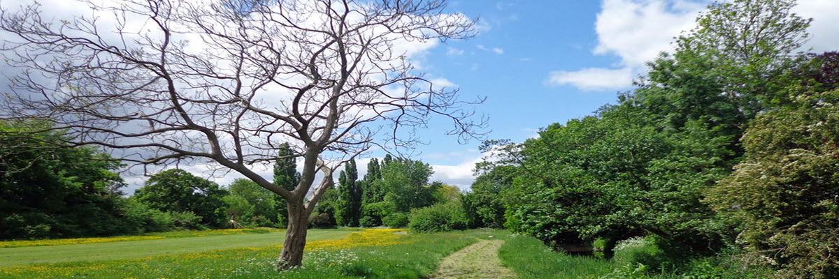 Friends of Pinn Meadows